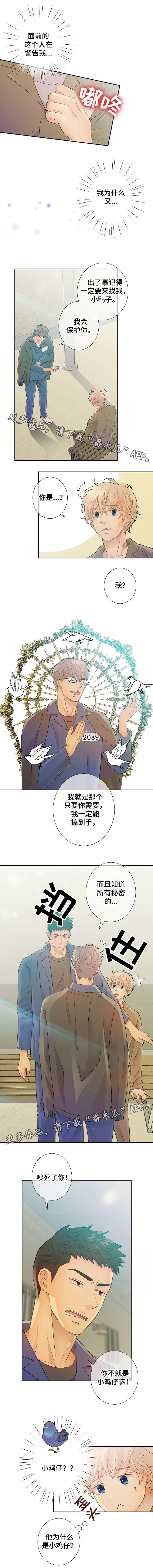 阿尔法监狱掉落匕首漫画,第30章：小鸡仔3图