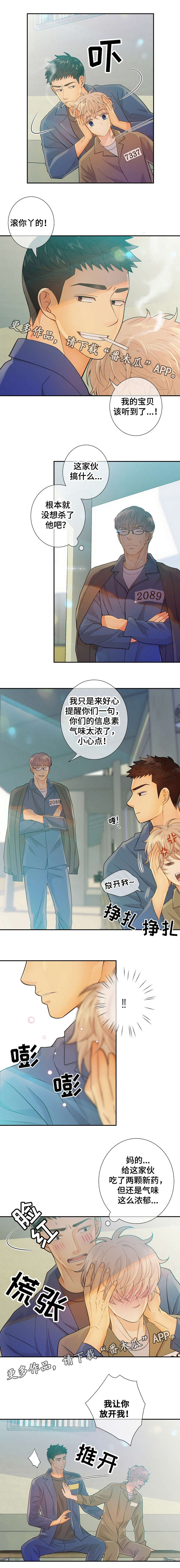 阿尔法监狱掉落匕首漫画,第30章：小鸡仔2图