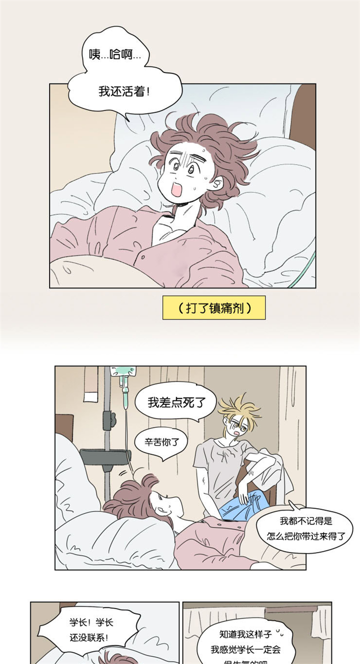 一家四口住90平小三室合适吗漫画,第34章：有我在2图