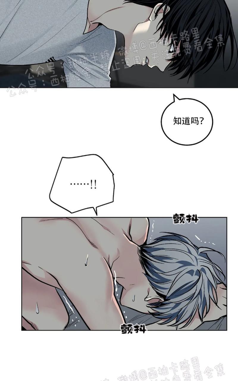耻辱应用程序28漫画,第56话5图