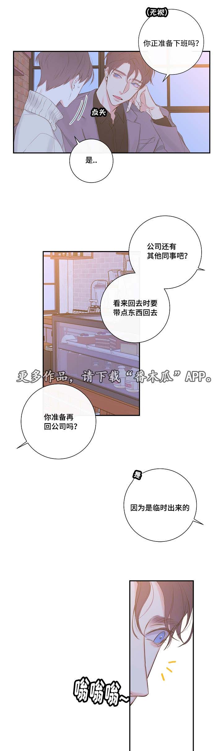 半血和全血的区别漫画,第8章：尾随4图