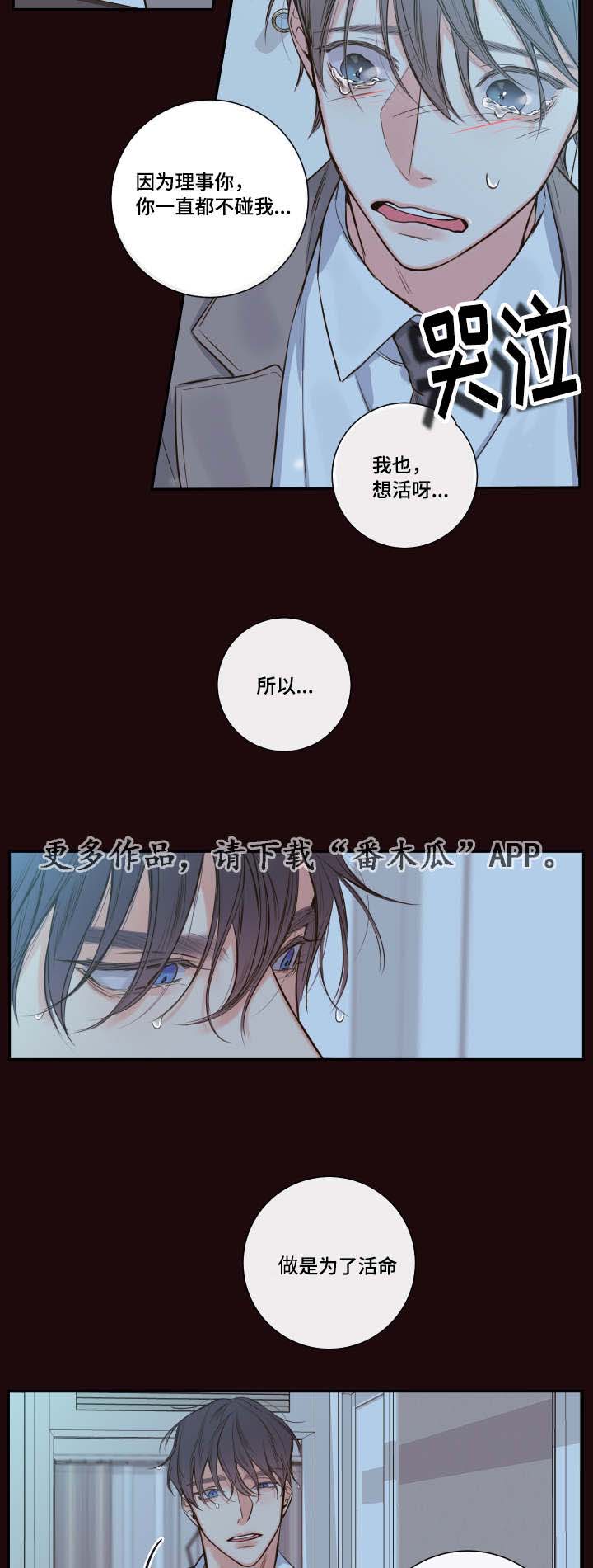 半血马最快时速多少漫画,第24章：请你相信我4图