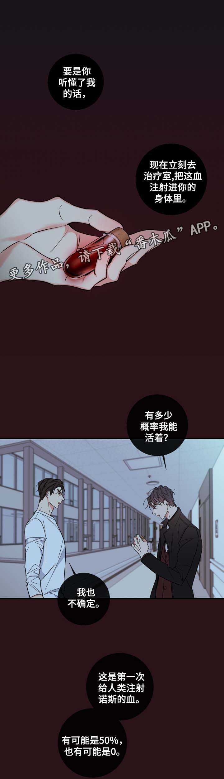 半血和全血的区别漫画,第55章：赌一把3图