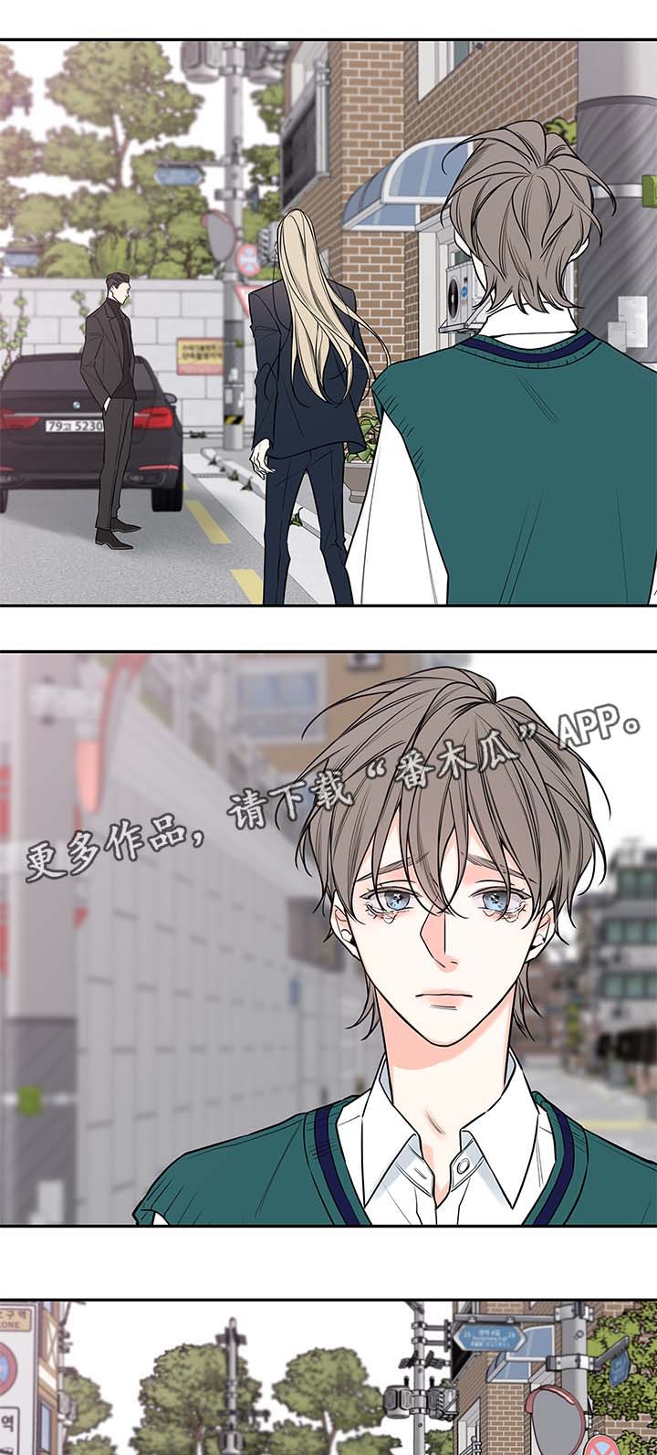 半血马厂家漫画,第73章：尘埃落定2图
