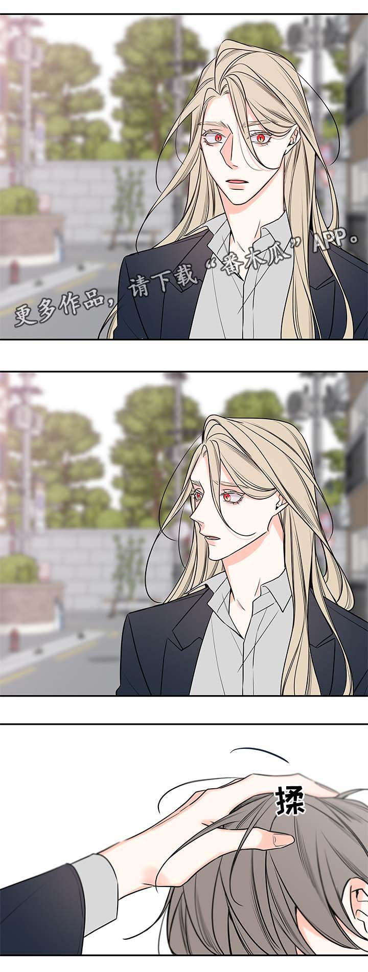 半血马厂家漫画,第73章：尘埃落定1图