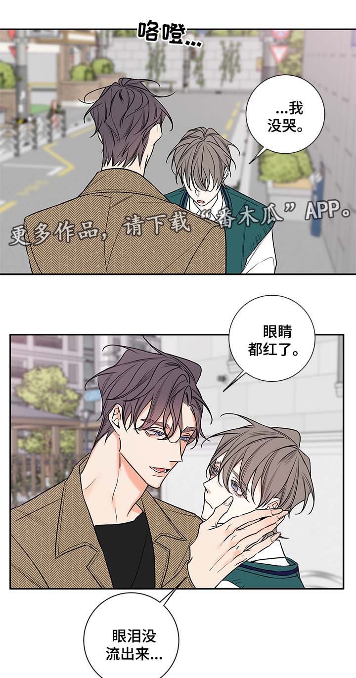 半血马厂家漫画,第73章：尘埃落定4图