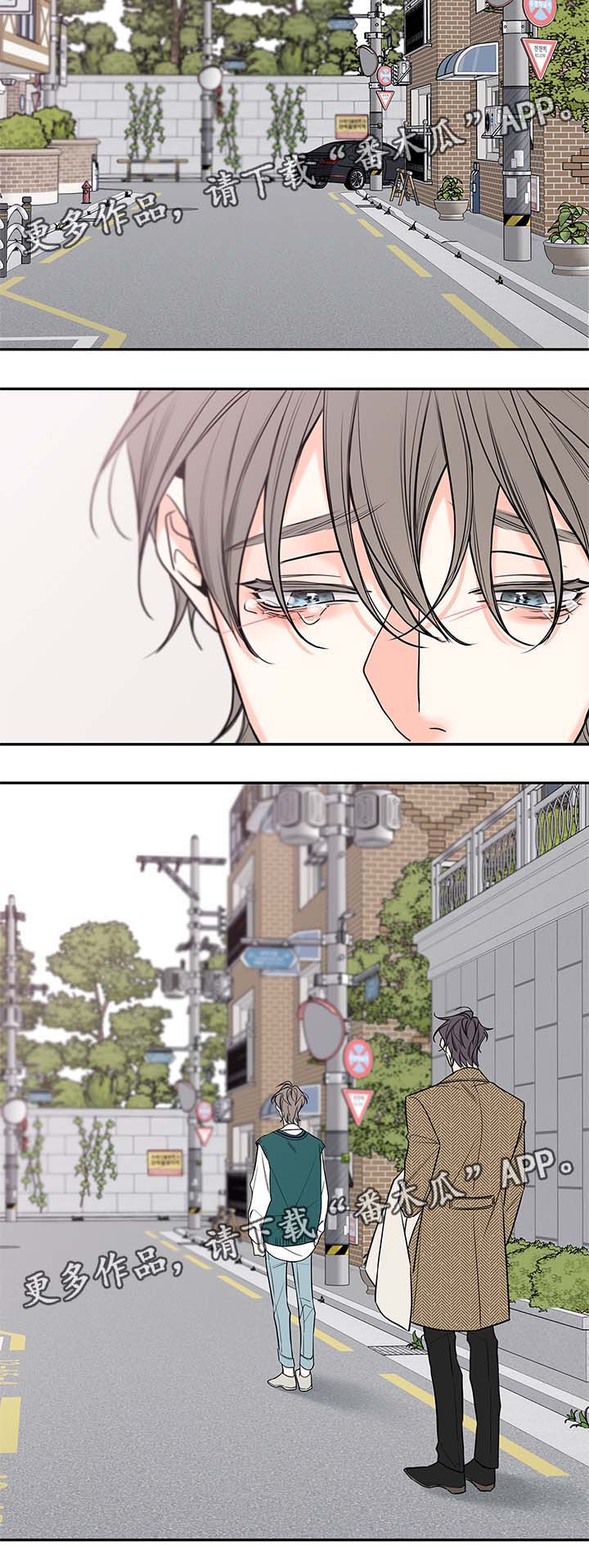 半血马厂家漫画,第73章：尘埃落定3图