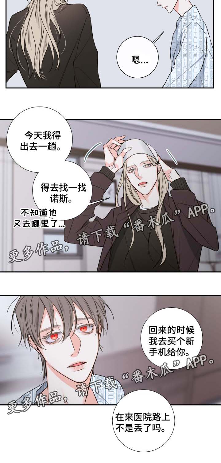 半血红丝膜菌图片漫画,第39章：寻找3图