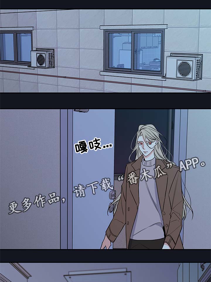 半血统拉布拉多漫画,第70章：别走1图