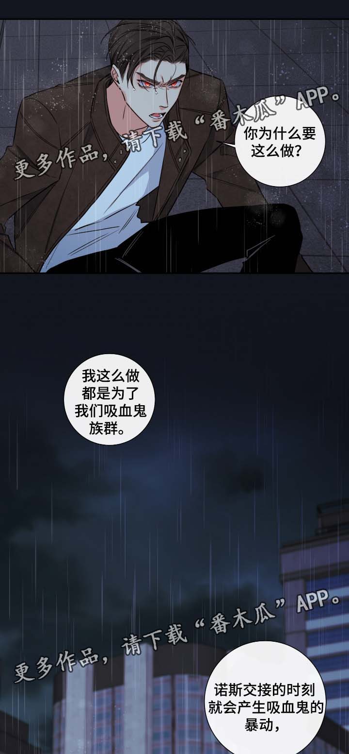 半吸血鬼简介漫画,第53章：都结束了4图