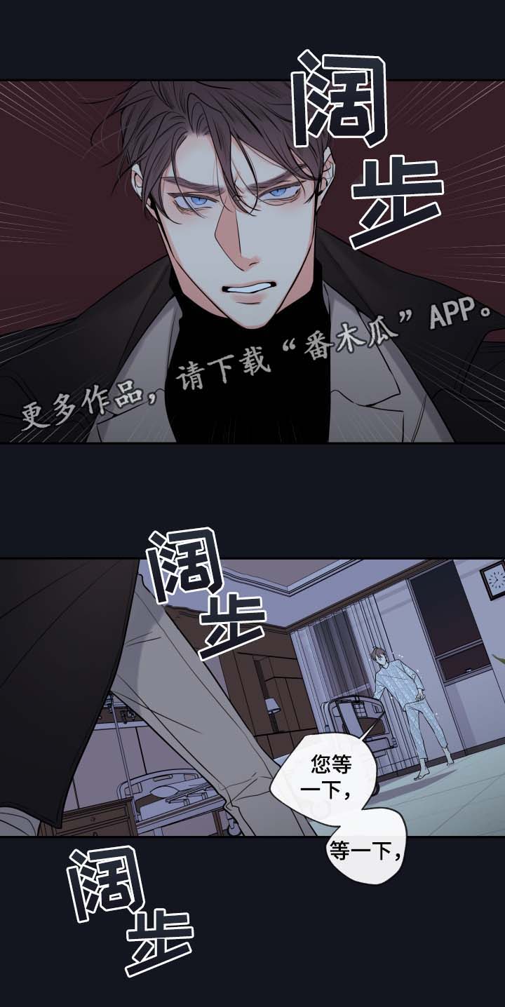 半血统拉布拉多漫画,第41章：必须找到你2图