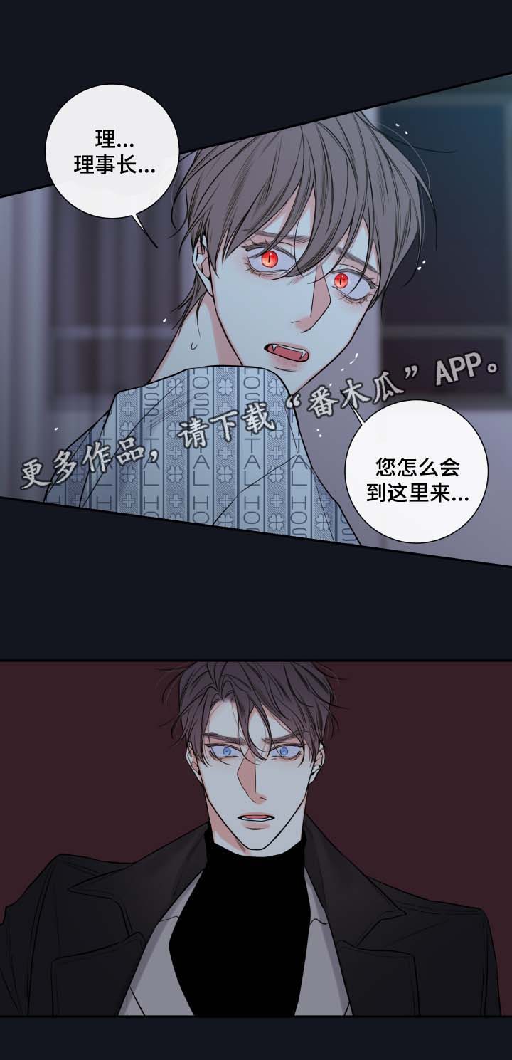 半血统拉布拉多漫画,第41章：必须找到你1图