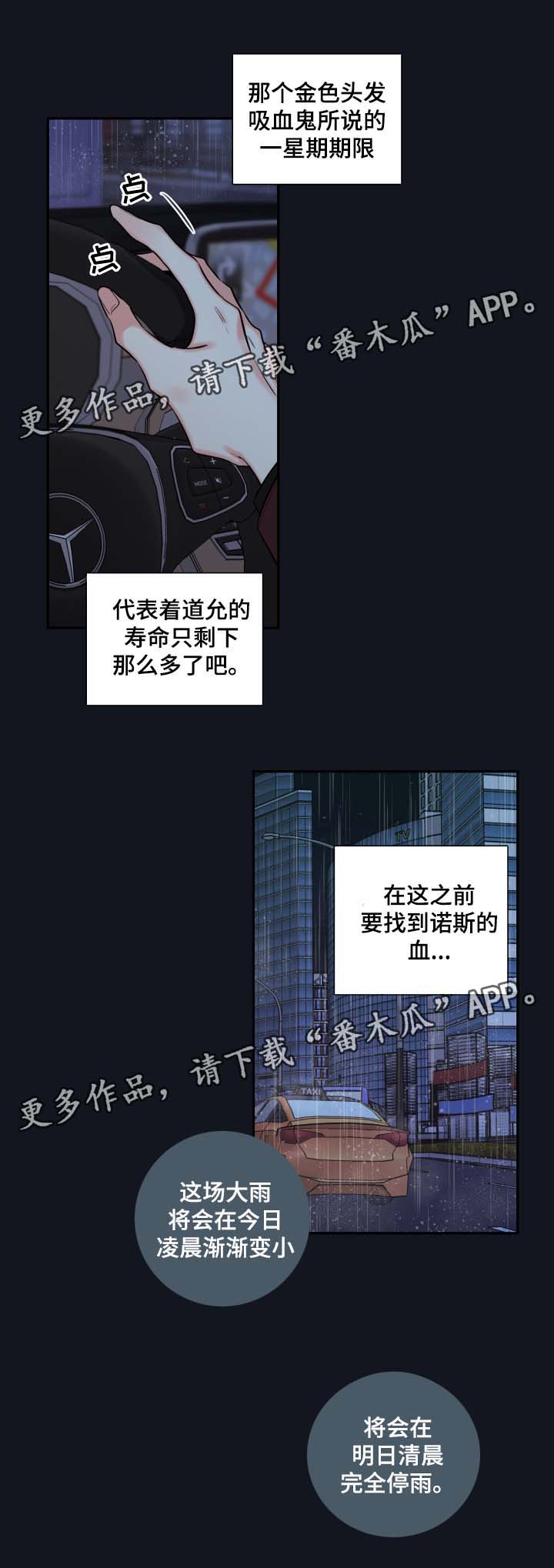 半血马价格咨询漫画,第52章：来晚了2图