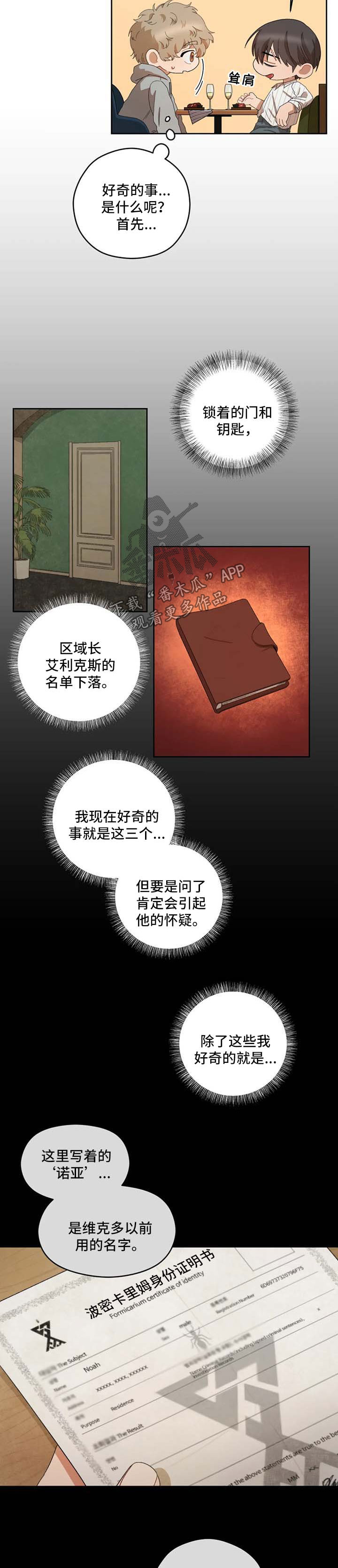 区域间谍番木瓜漫画漫画,第30章：好奇5图