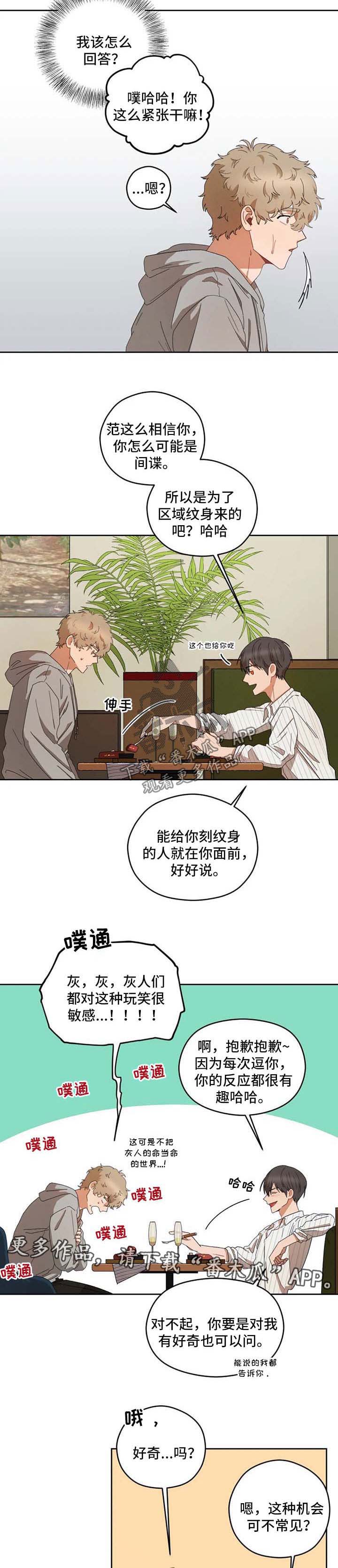 区域间谍番木瓜漫画漫画,第30章：好奇4图