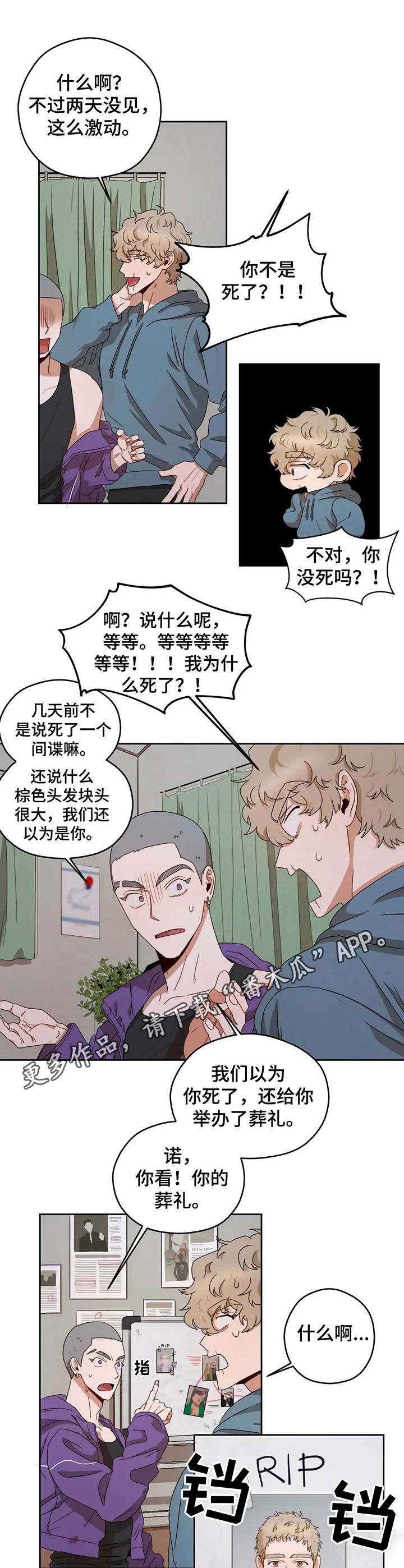 区域间谍番木瓜漫画漫画,第12章：回家4图