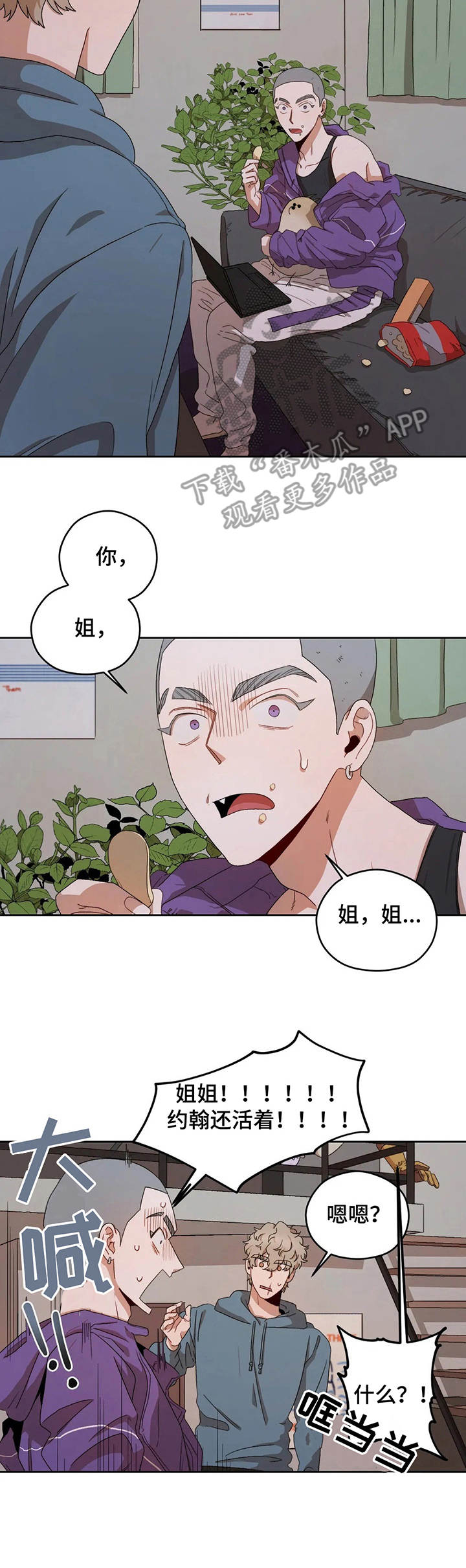 区域间谍番木瓜漫画漫画,第12章：回家3图