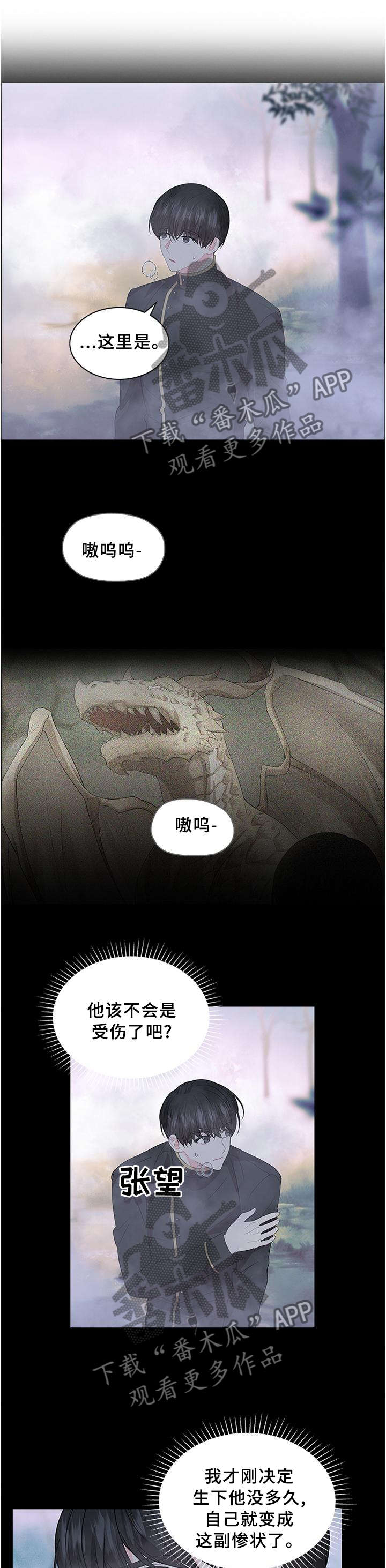 皇室血脉免费酷漫屋漫画,第70章：孩子是我的5图