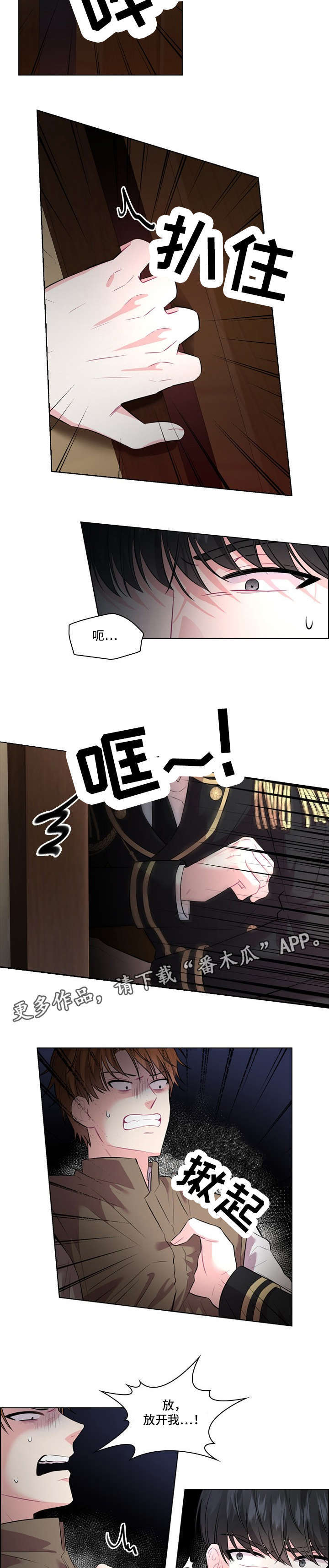 皇室血脉是什么血型漫画,第19章：抓捕2图