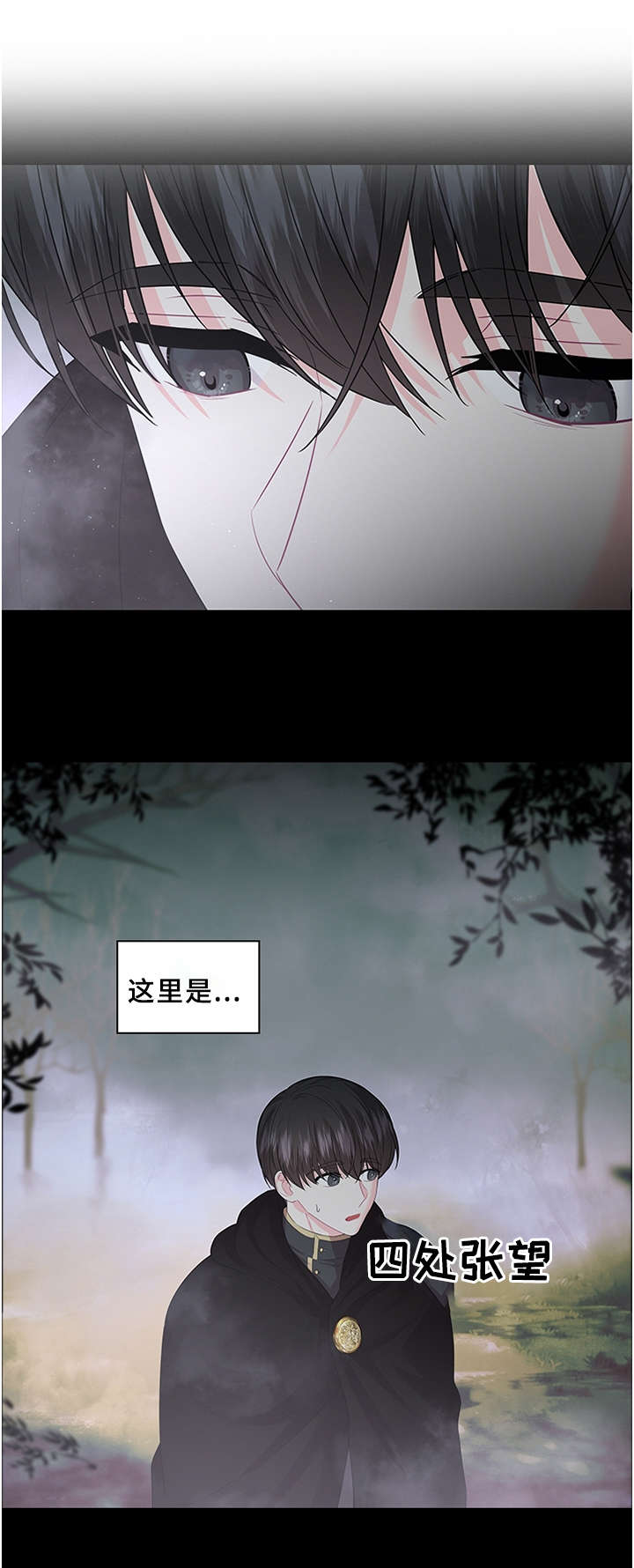皇室血脉漫画免费观看完整版漫画,第62章：一个选择!1图