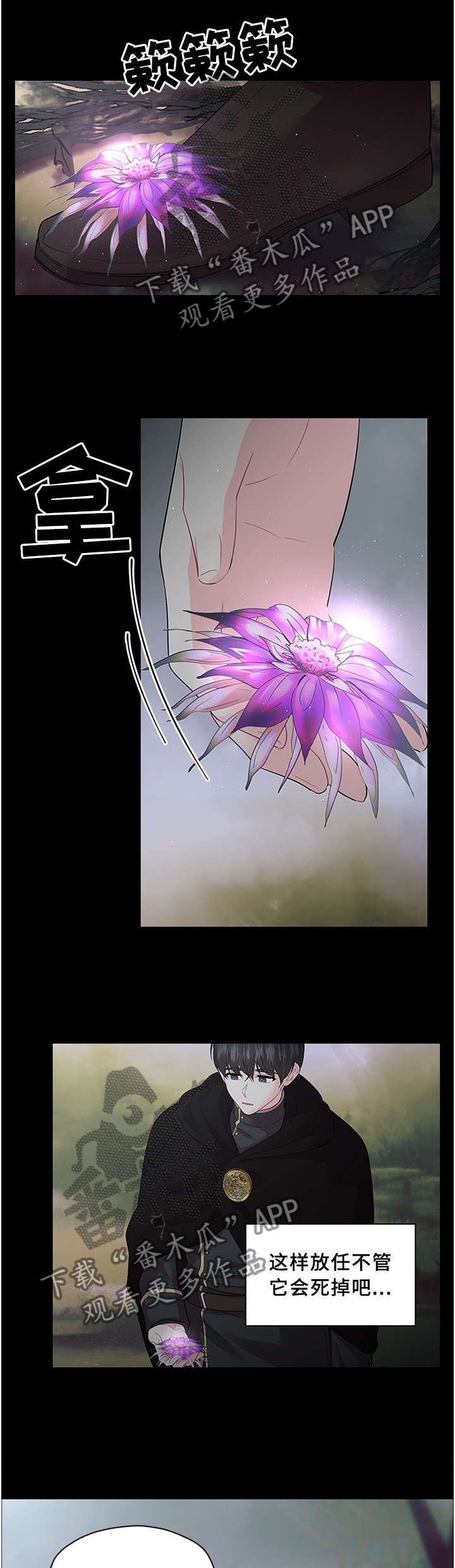 皇室血脉漫画免费观看完整版漫画,第62章：一个选择!2图