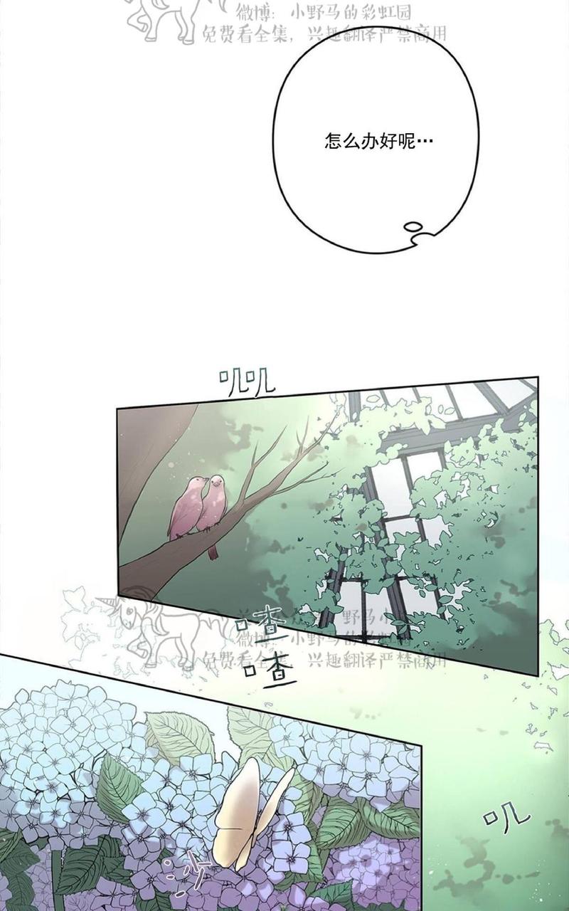 晶石公爵spinel副cp漫画,第10话5图