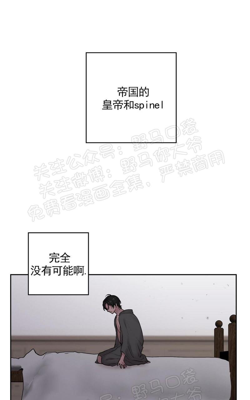晶石公爵spinel副cp漫画,第37话1图