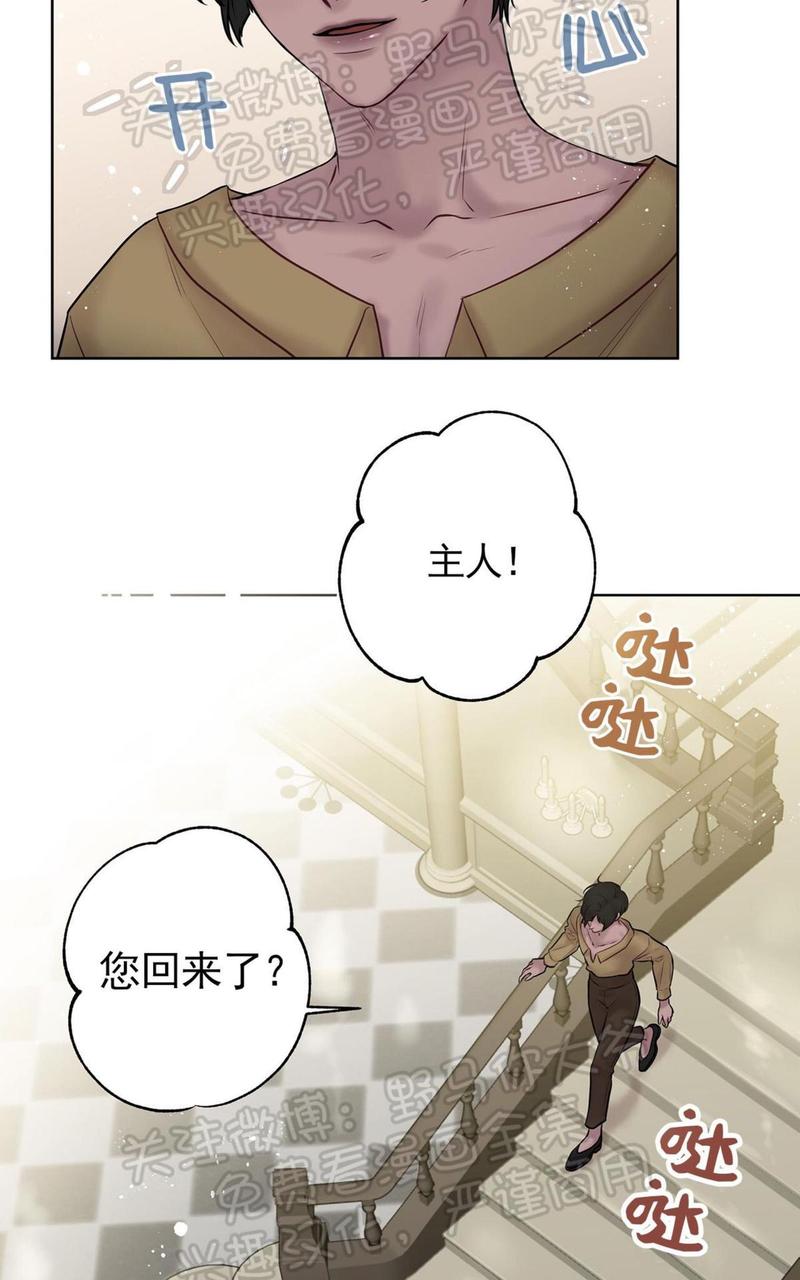 spinel晶石公爵漫画免费下拉式漫画,第32话3图