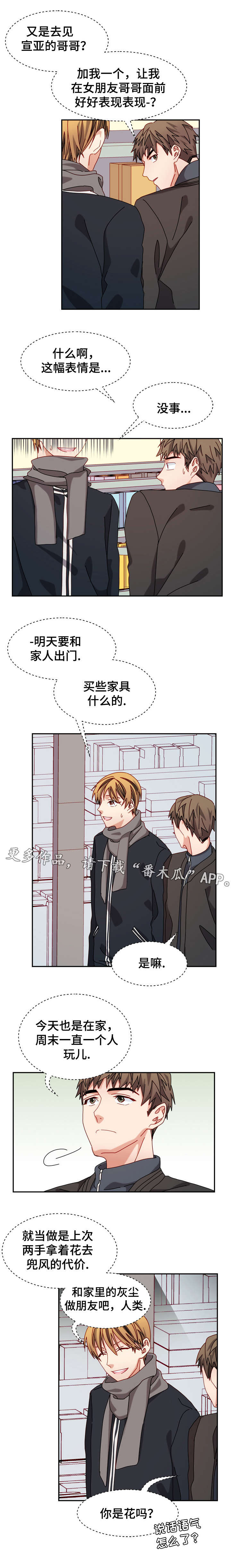 拜别祖母漫画,第35章：书店3图