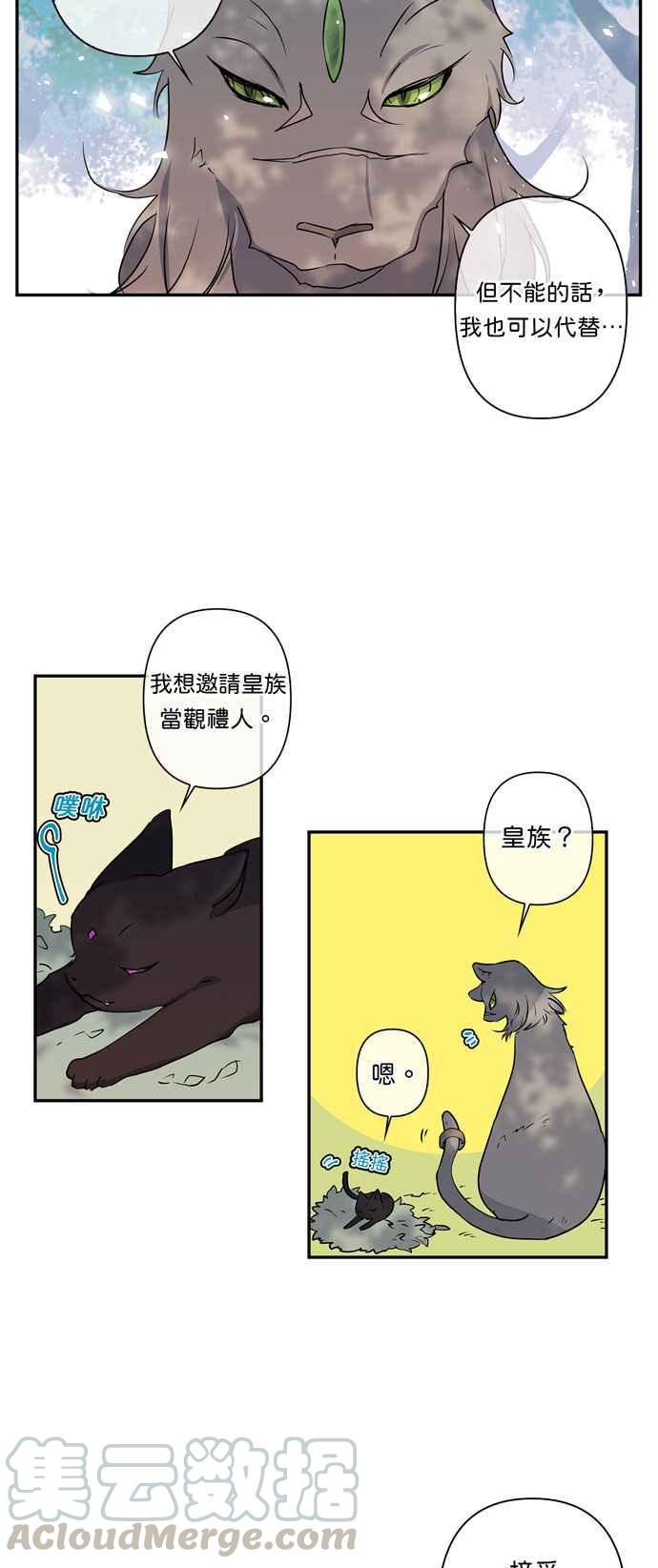 我的野蛮萌友解说漫画,第17话5图