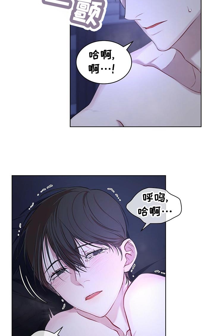 物种起源阅读题及答案漫画,第20话5图