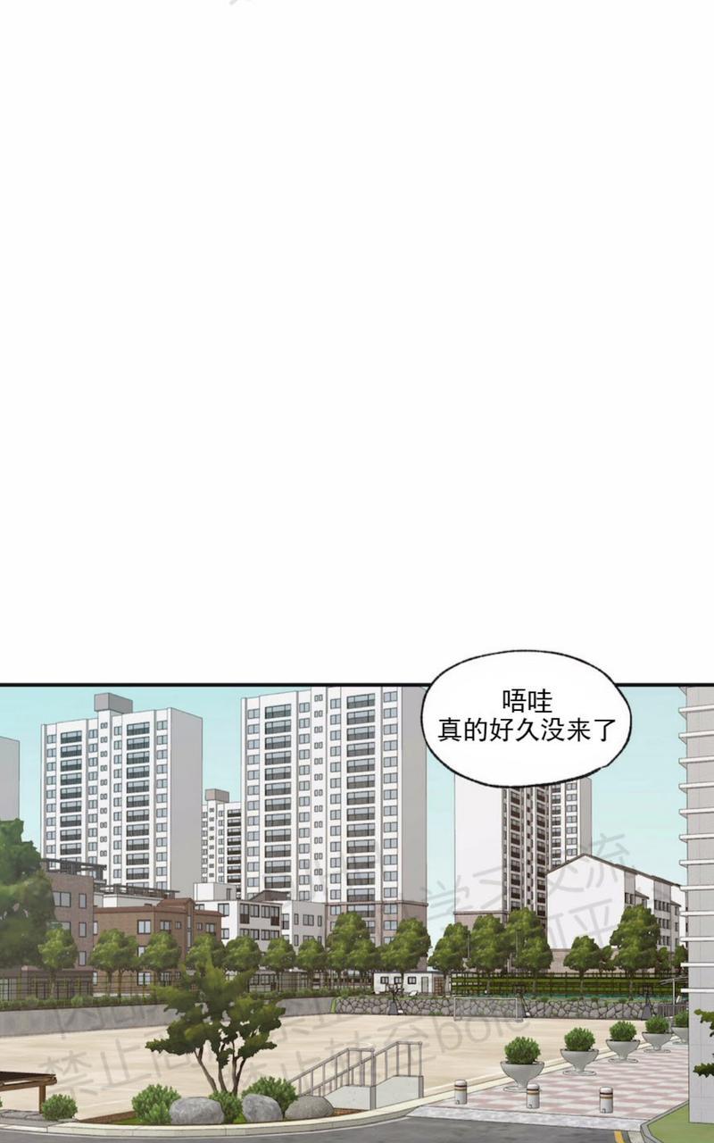恋爱禁区免费观看动漫漫画,第63话3图