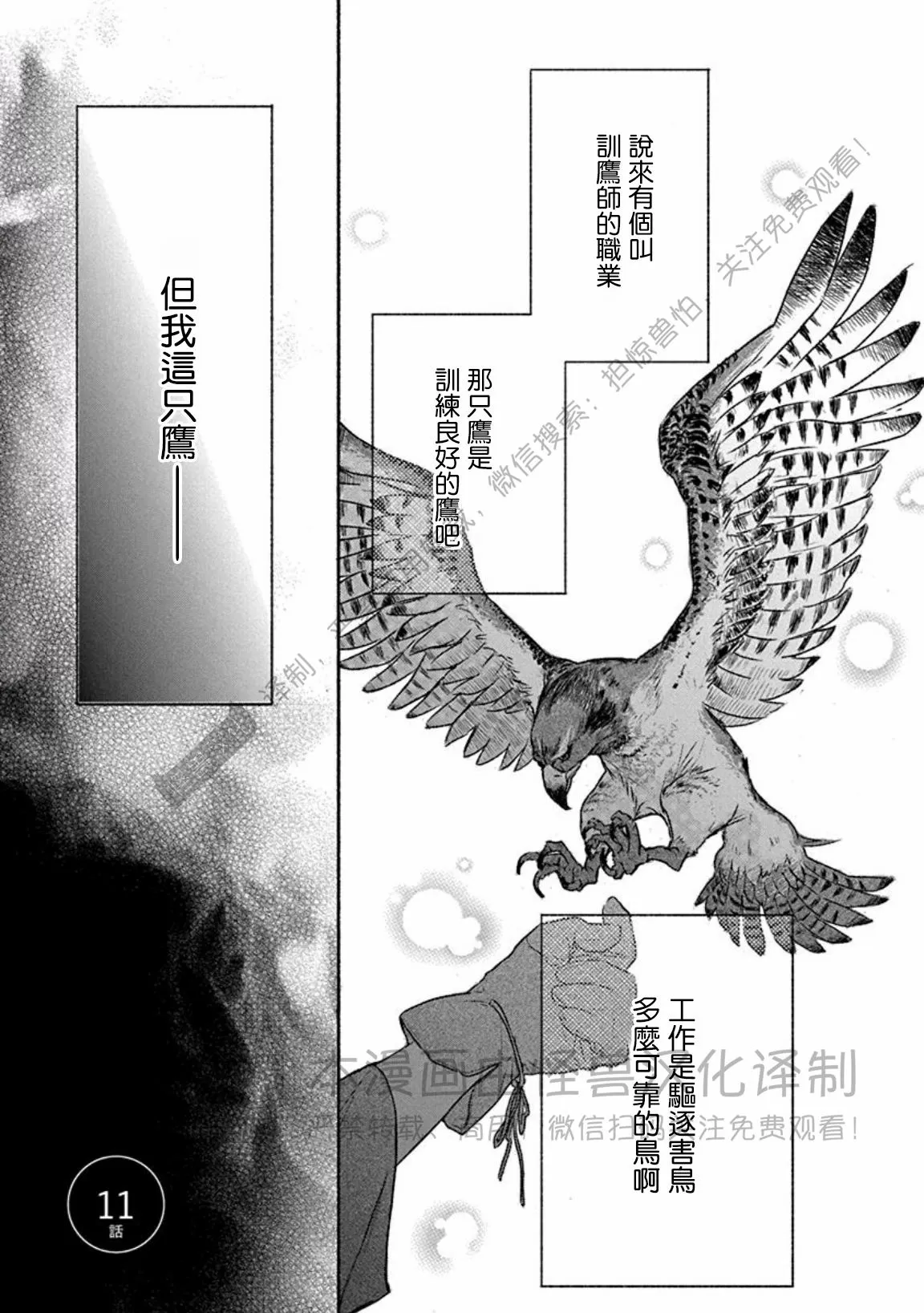 兔与虎相冲吗漫画,第11话1图