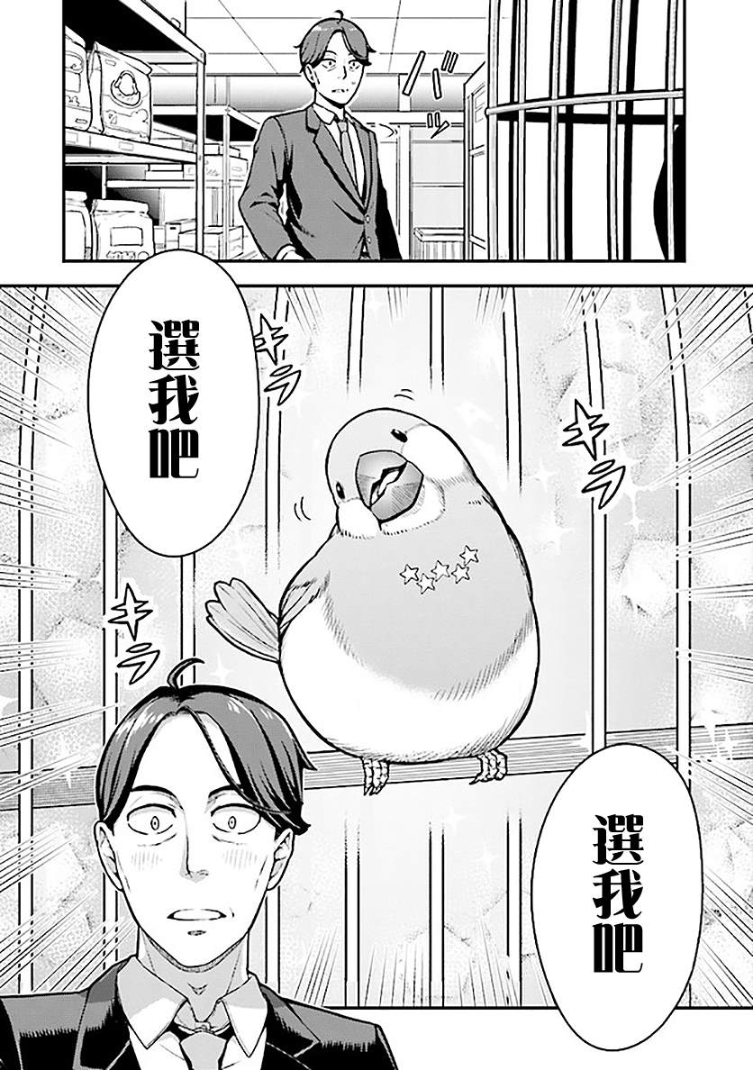 佐佐木与文鸟小哔高燃剪辑漫画,第1.1话4图