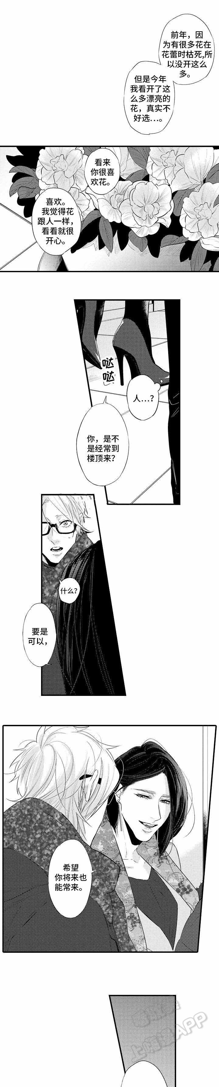 画像石和画像砖的区别漫画,第19话4图