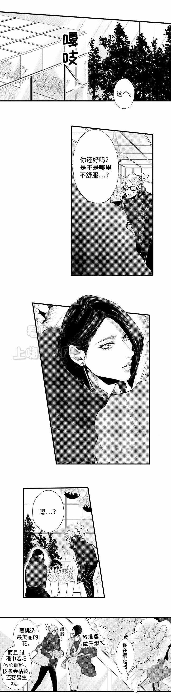 画像石和画像砖的区别漫画,第19话3图