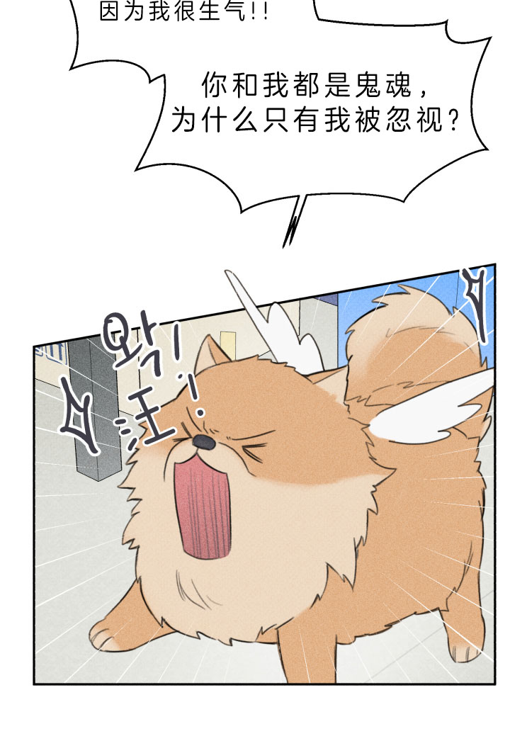 肥啾可爱视频漫画,第154话4图