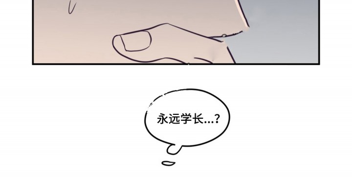 寻景镜头完整版免费看漫画,第20话4图