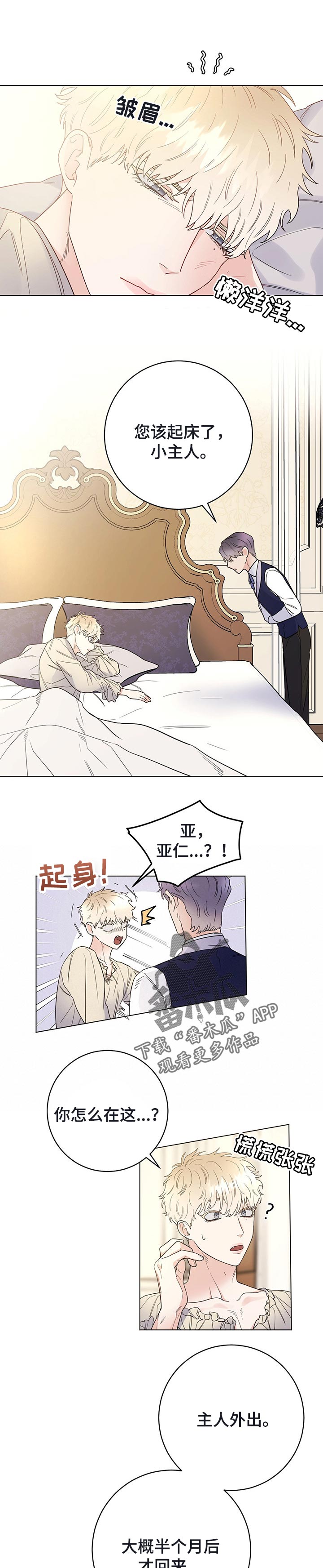 主人的宠物死了漫画,第42章：无事发生5图