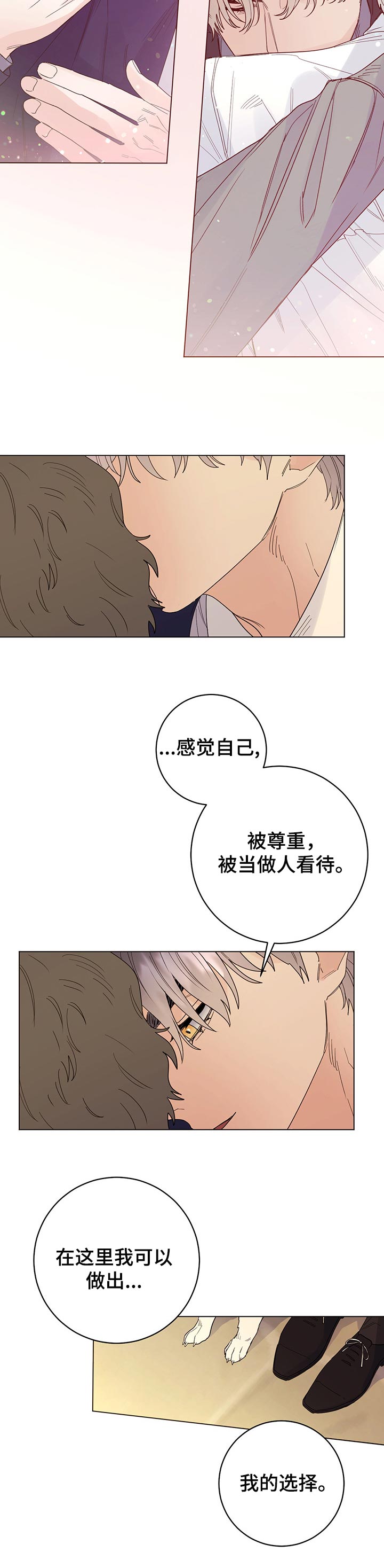 主人的主笔顺怎么写漫画,第61章：我的决定（第一季完结）5图