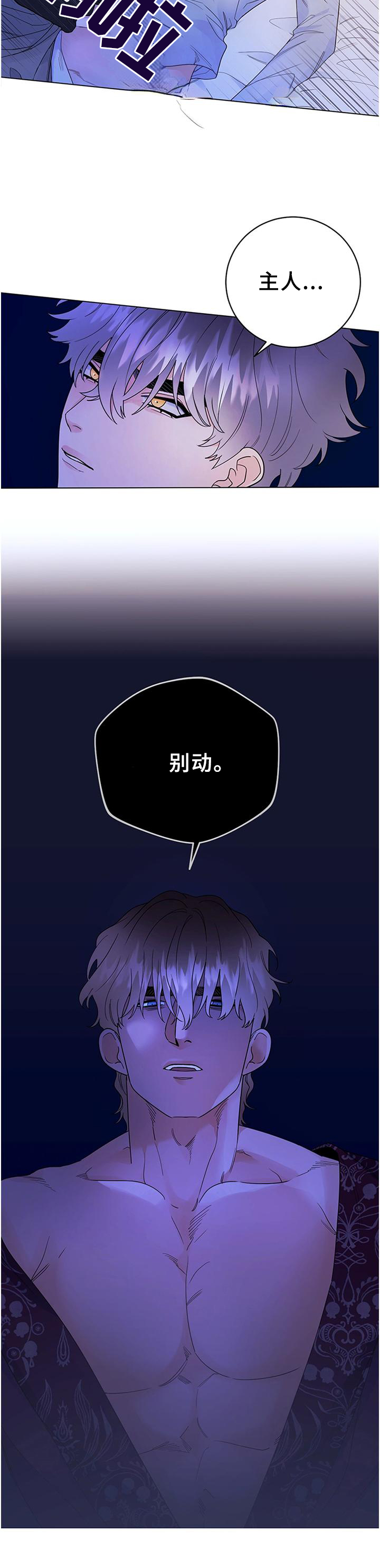 主人的马字谜漫画,第29章：归来4图