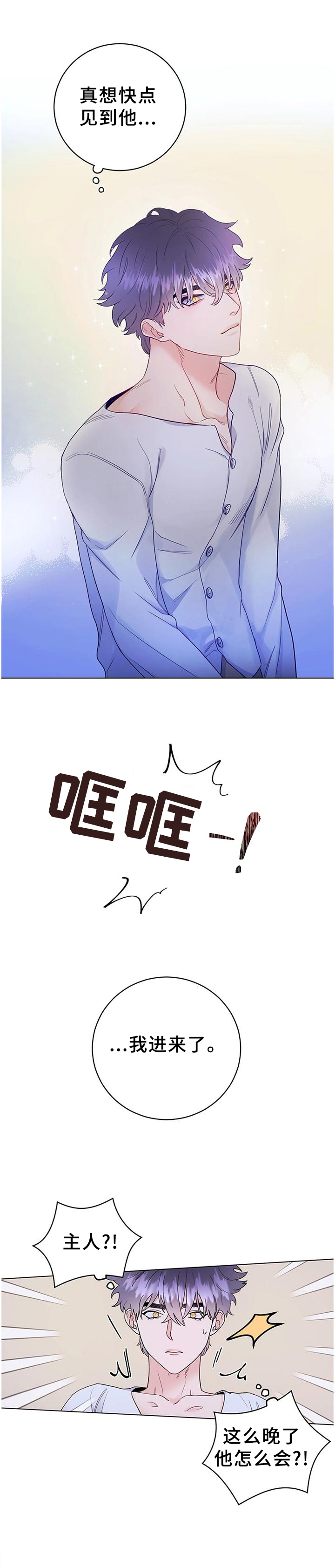 主人的马字谜漫画,第29章：归来1图