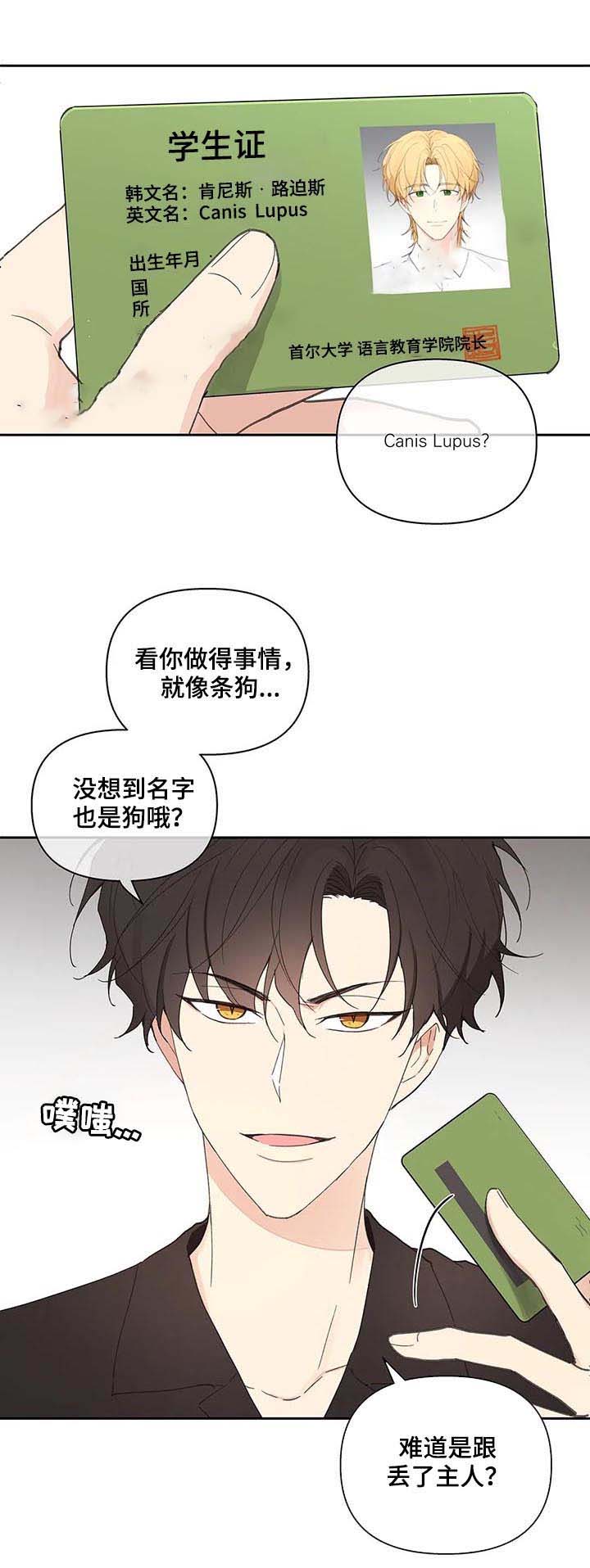 主人的主字组词是怎么组漫画,第60话1图
