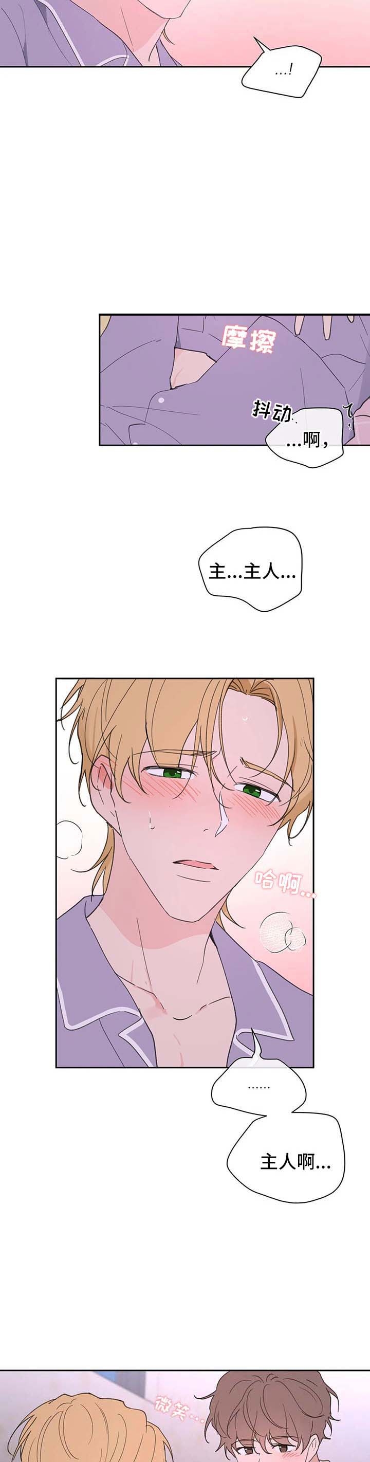 主人的私情全集免费看漫画,第100话3图