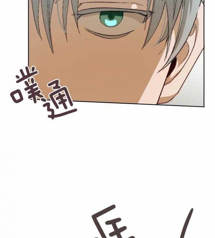 上海第一黑帮大哥是谁漫画,第32话2图