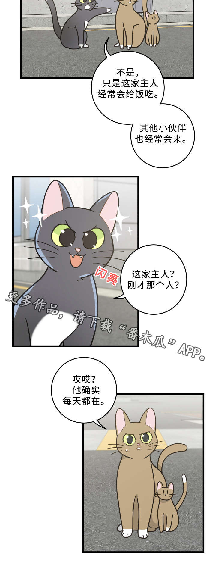 亲爱的喵先生小说作者漫画,第32章：晕倒3图