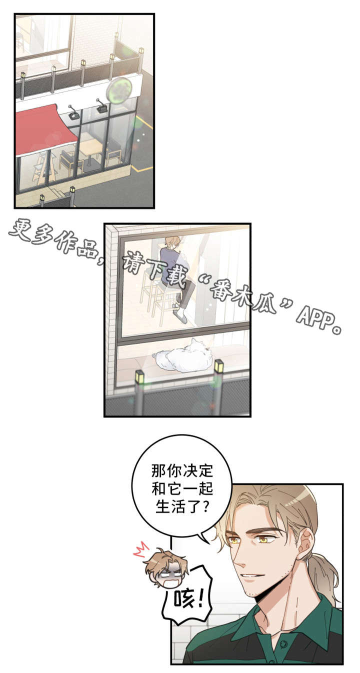 亲爱的喵君哪里可以看漫画,第10章：负责到底2图