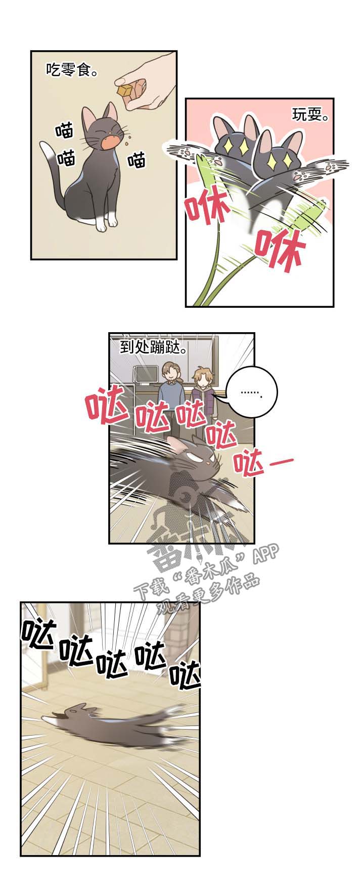 亲爱的喵君免费阅读漫画漫画,第44章：快乐生活1图
