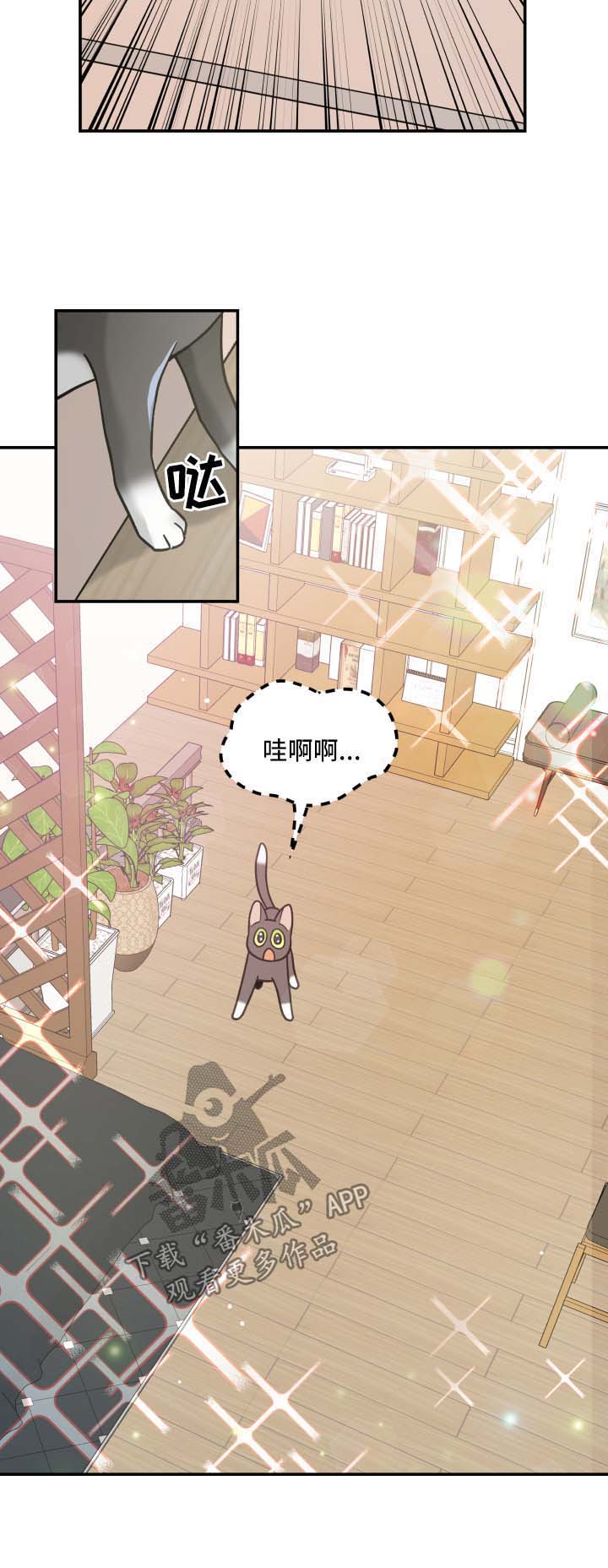 亲爱的喵君免费阅读漫画漫画,第44章：快乐生活4图