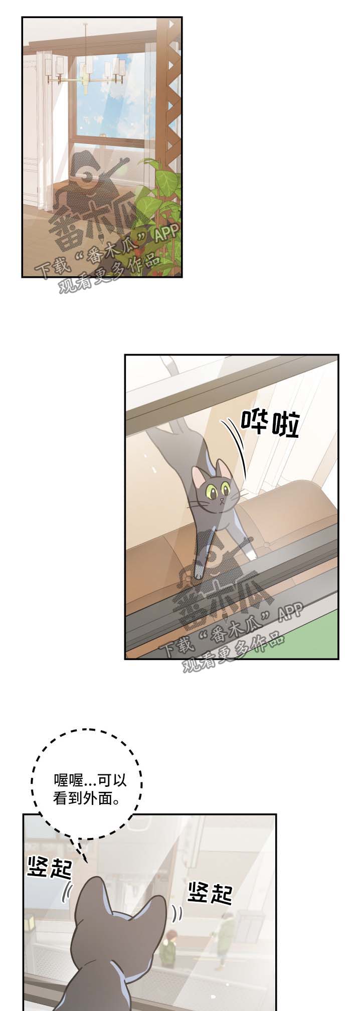 亲爱的喵君免费阅读漫画漫画,第44章：快乐生活5图
